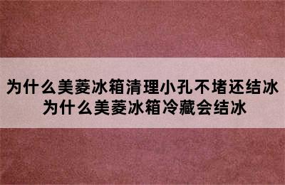 为什么美菱冰箱清理小孔不堵还结冰 为什么美菱冰箱冷藏会结冰